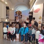 Attività didattica in sala 'C'era una volta il mare'